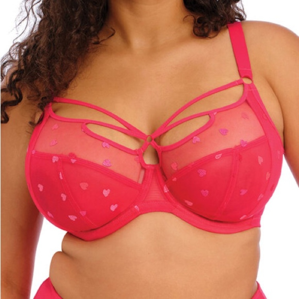 Elomi Sachi Plunge Bra 36G